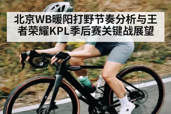 北京WB暖阳打野节奏分析与王者荣耀KPL季后赛关键战展望